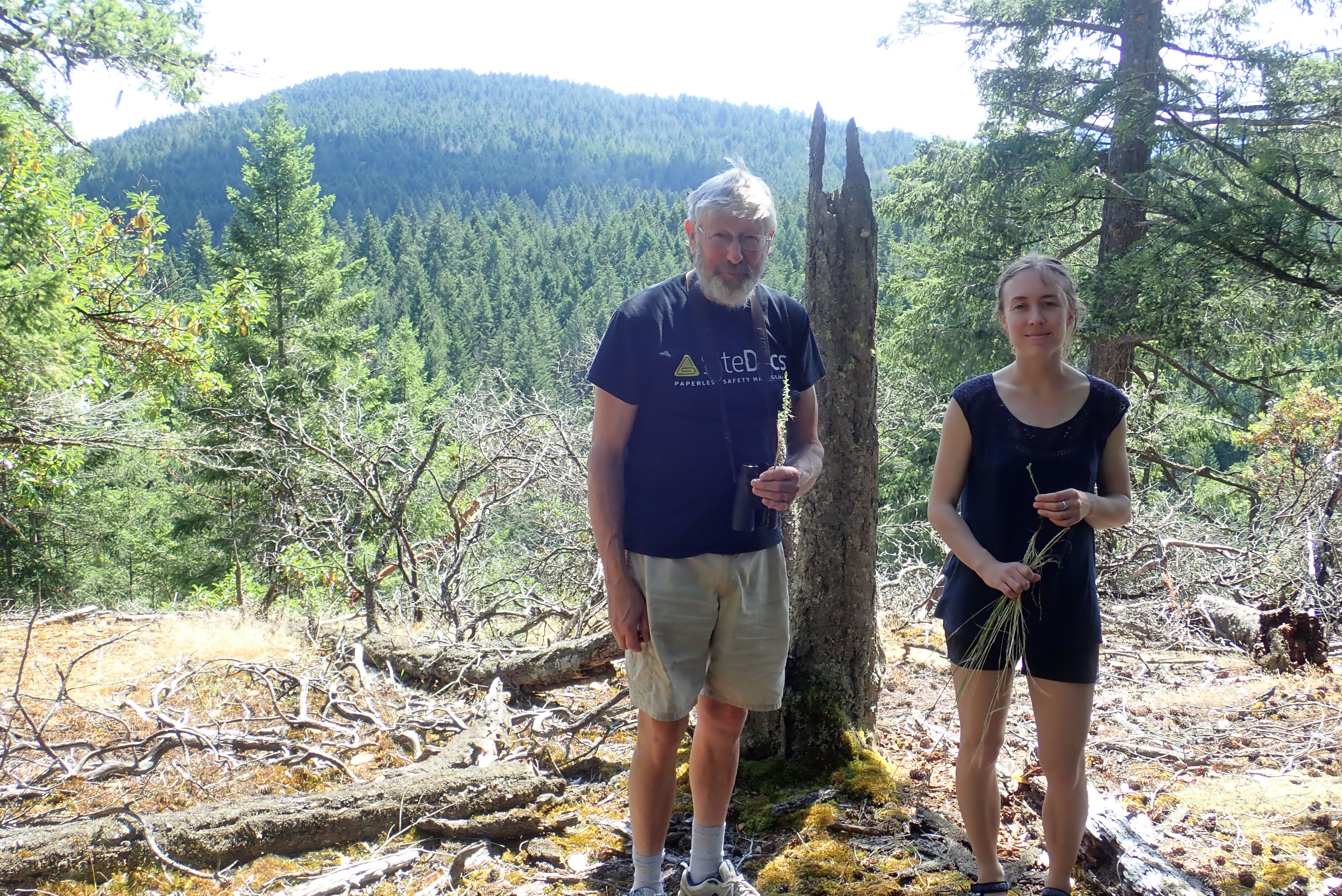 Illustration of different kernel distance weightings