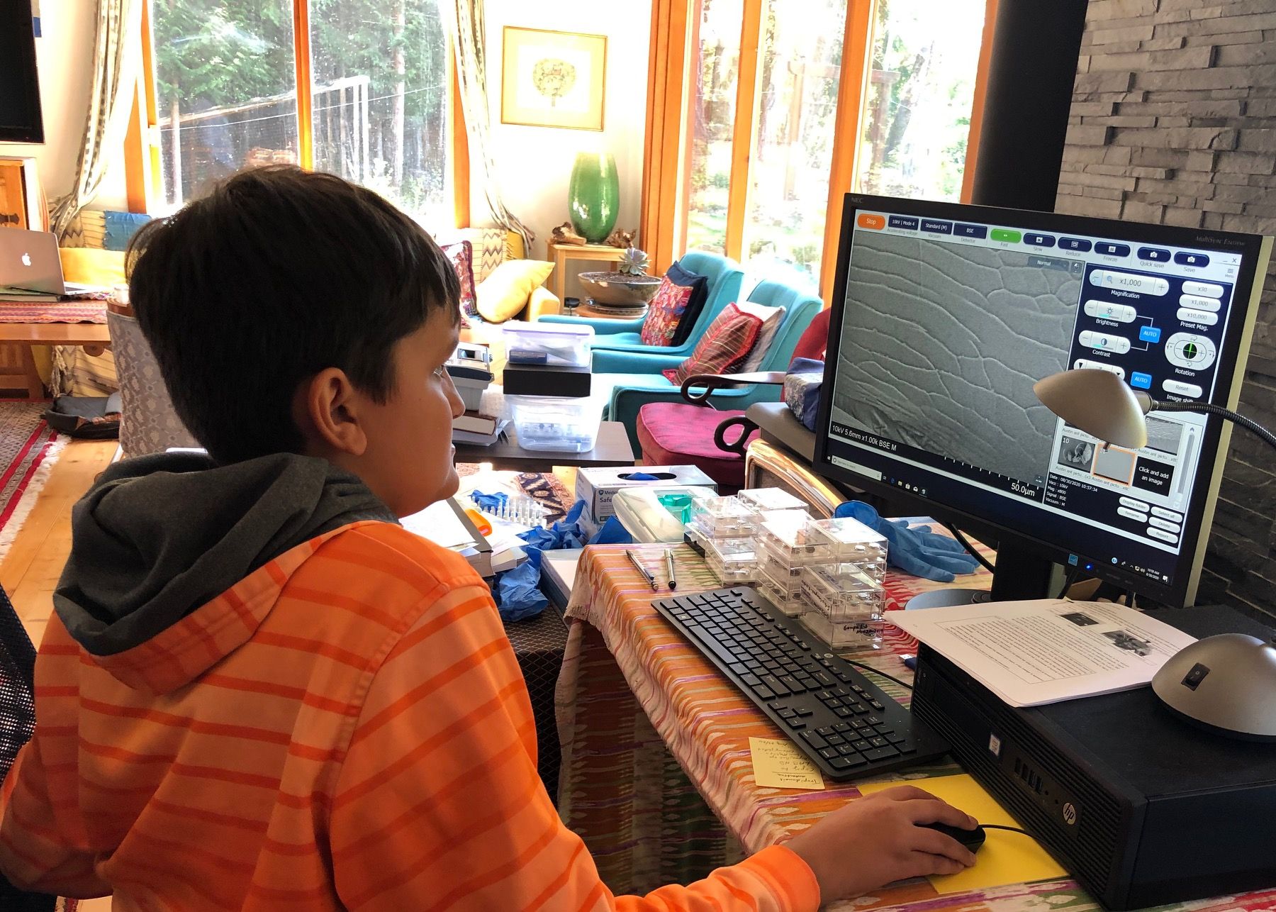 Mentorship