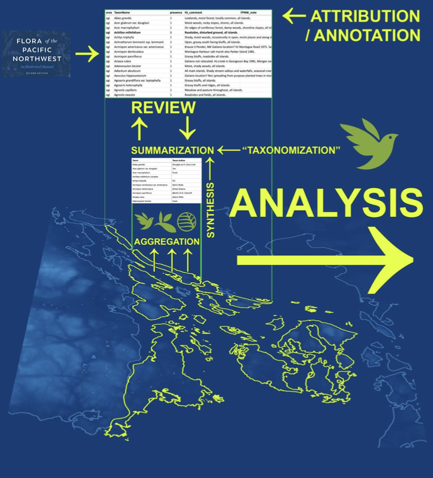 data portal graphic