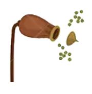 Bryophytes of the Pacific Northwest